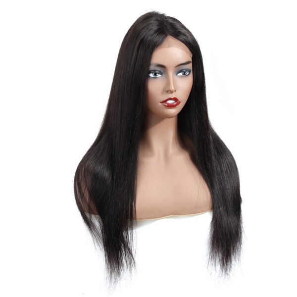 Lace Real Human Hair Wig – Natural Hairline Full Head Wig - Image 6