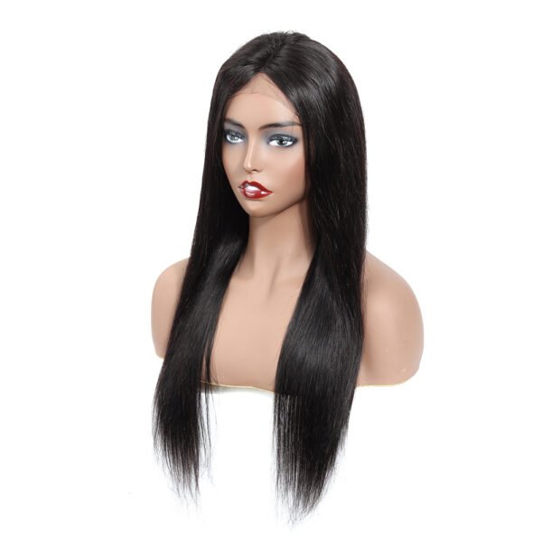 Lace Real Human Hair Wig – Natural Hairline Full Head Wig - Image 4
