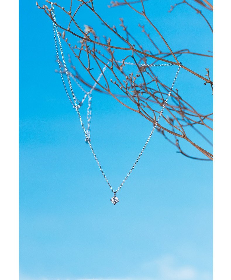 Necklace with Silver Necklace - Image 7